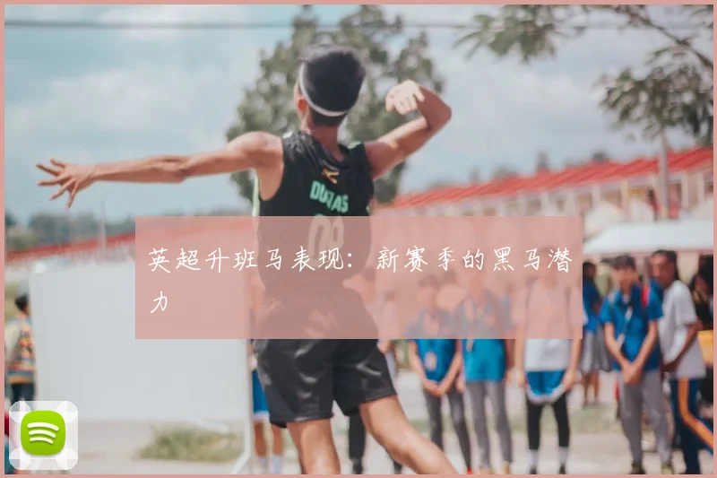英超升班马表现：新赛季的黑马潜力