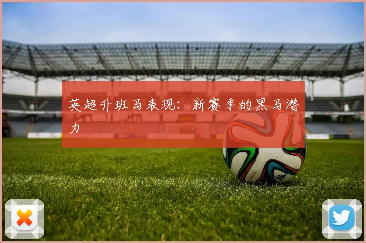 英超升班马表现:新赛季的黑马潜力