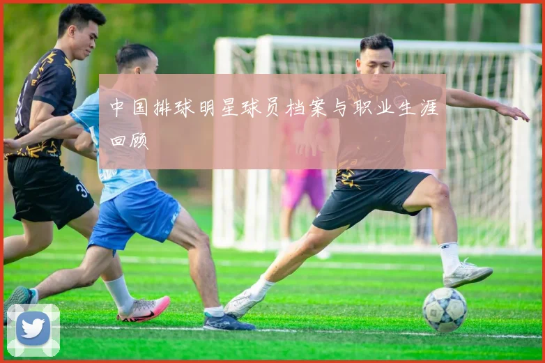 中国排球明星球员档案与职业生涯回顾